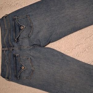Hudson Baby Beth Light Blue Denim Jeans 28 Long